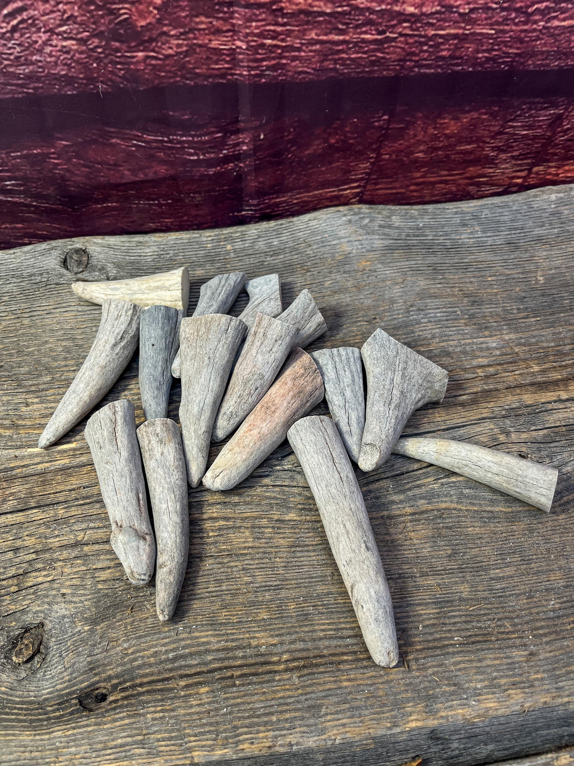Antler Tips - Pack of 15 Tips / Tines for Crafting, Decor and More