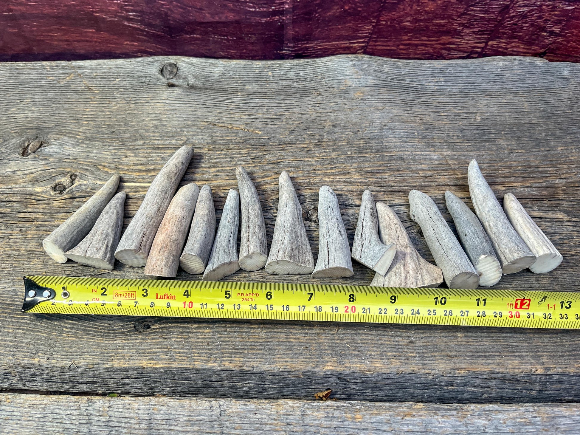 Antler Tips - Pack of 15 Tips / Tines for Crafting, Decor and More