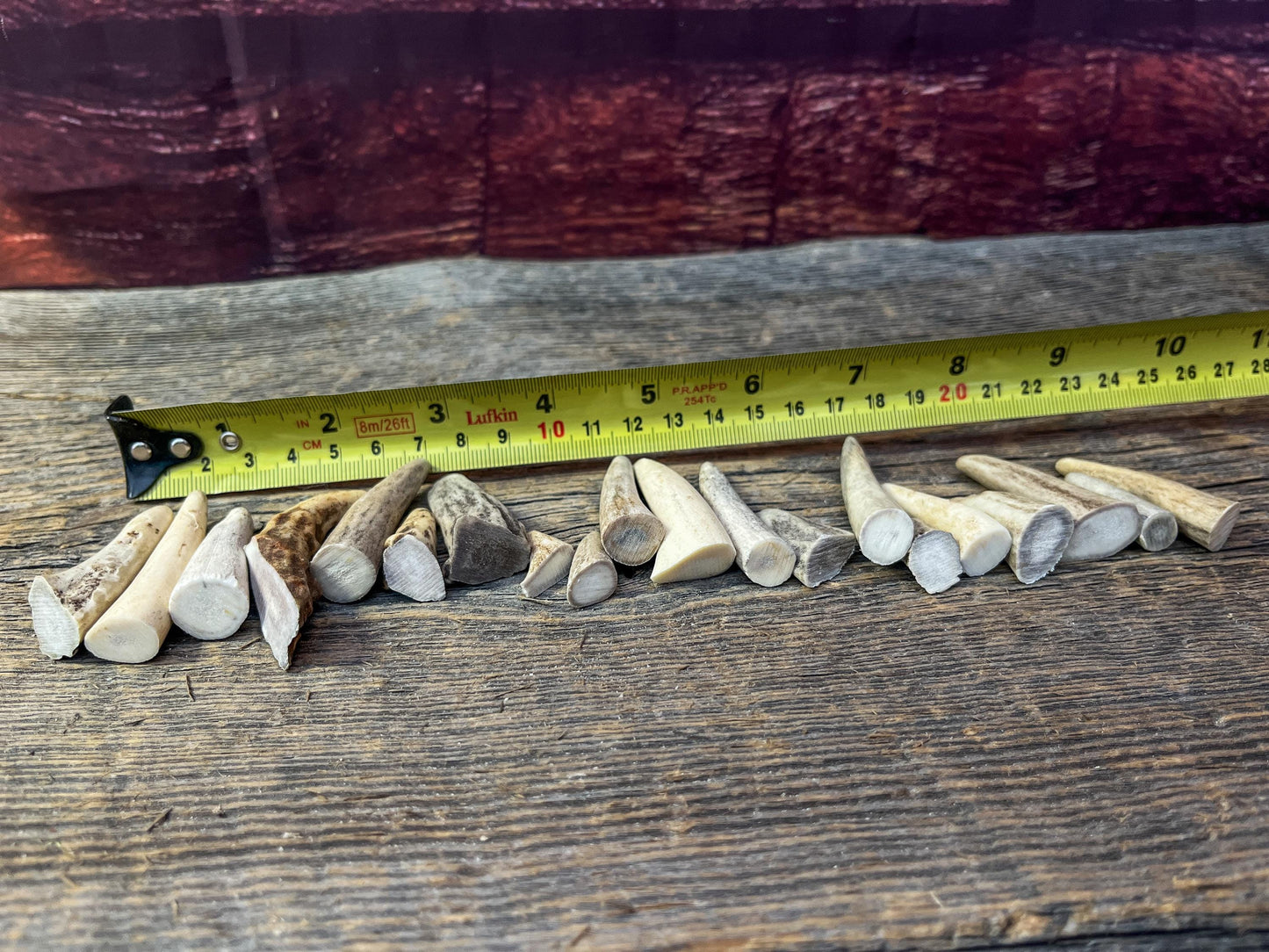 Tiny Antler Tips (20pcs) Varying Condition Tips for Crafting Decor and More