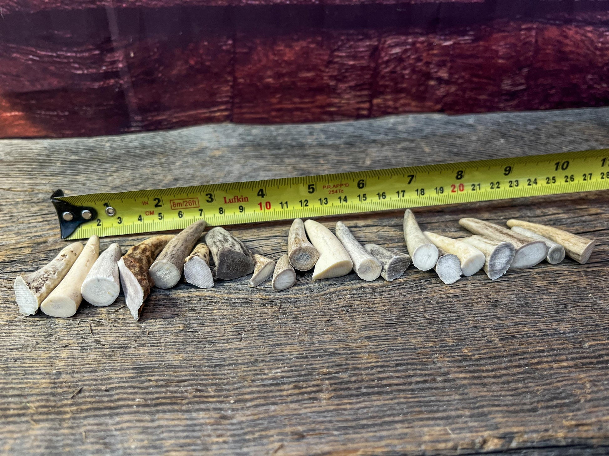 Tiny Antler Tips (20pcs) Varying Condition Tips for Crafting Decor and More