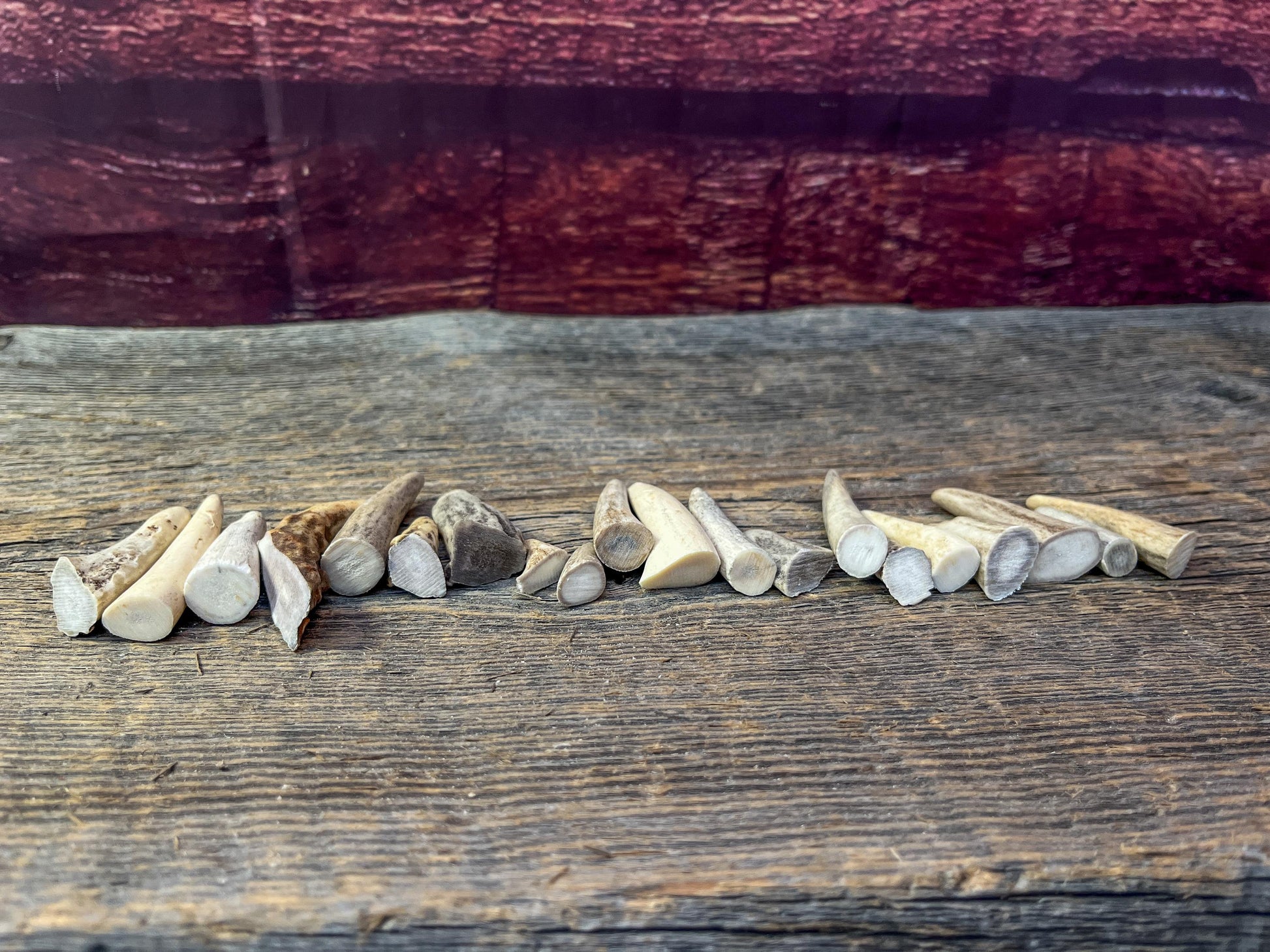Tiny Antler Tips (20pcs) Varying Condition Tips for Crafting Decor and More