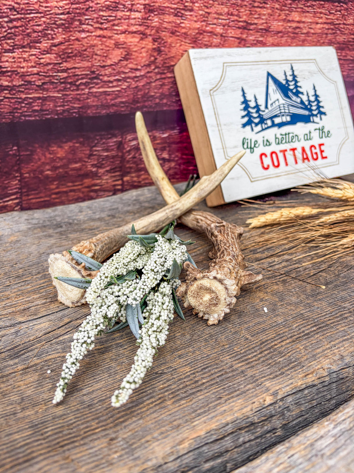 Deer Antlers - Small Matching White-tailed Deer Set. Canadian Buck. Crafting and Decor Antlers