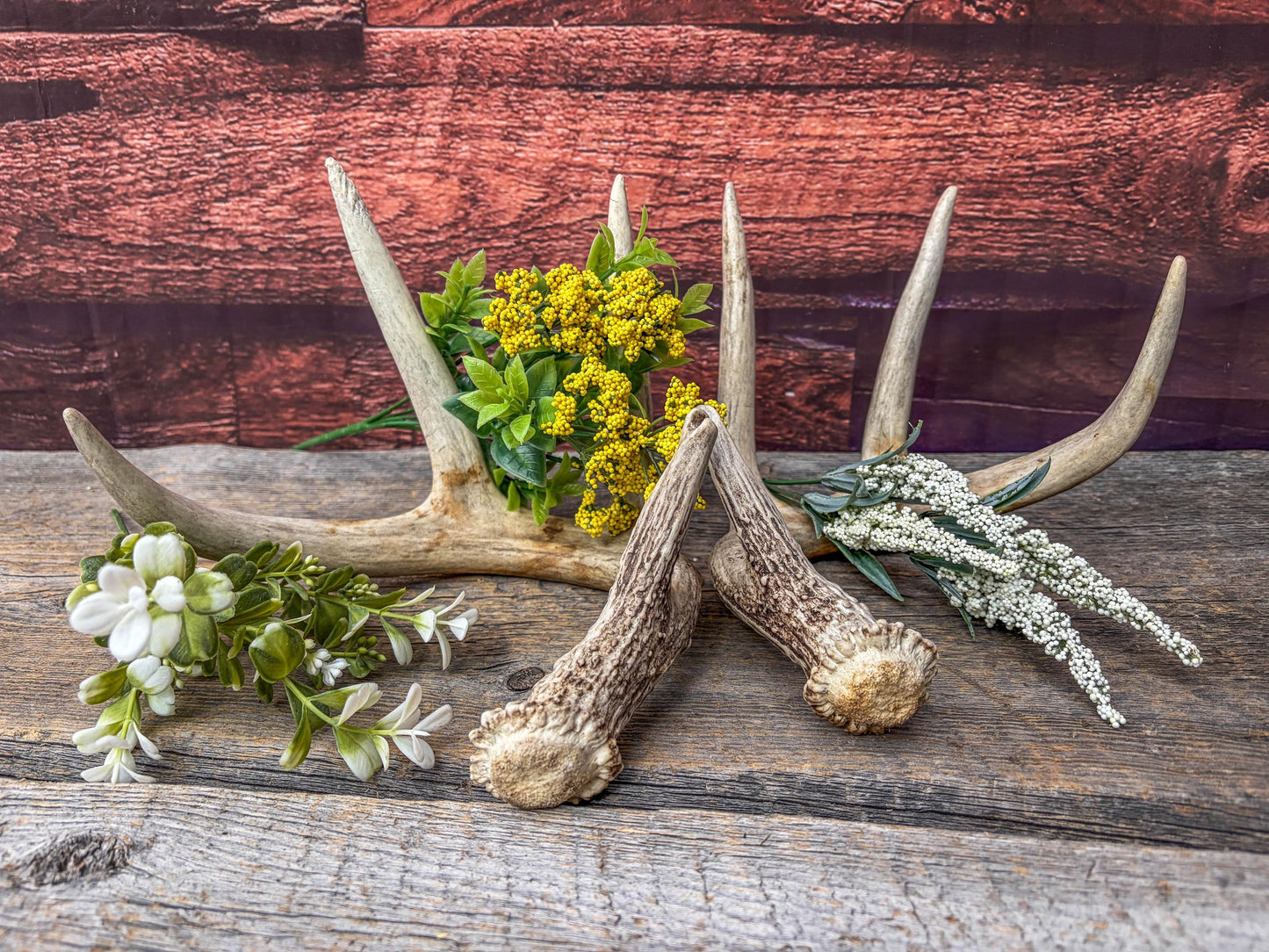 Deer Antlers - Matching Set of White-tailed Deer Antlers. Canadian Buck. Crafting, Decor and More.