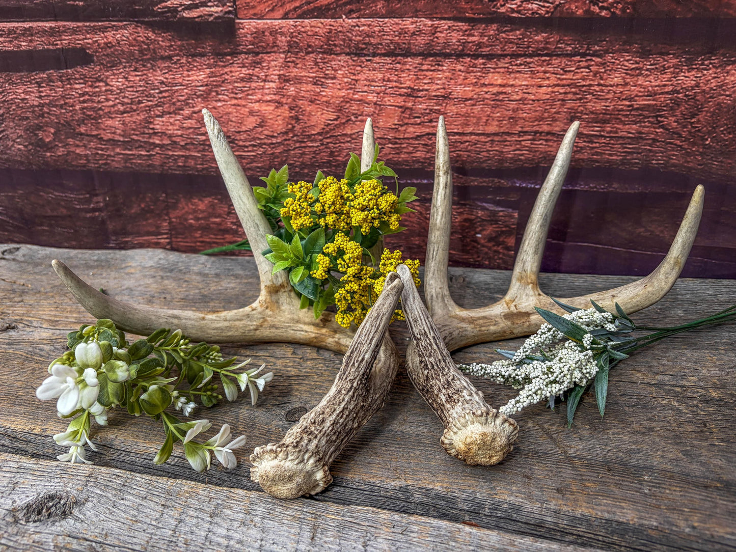 Deer Antlers - Matching Set of White-tailed Deer Antlers. Canadian Buck. Crafting, Decor and More.