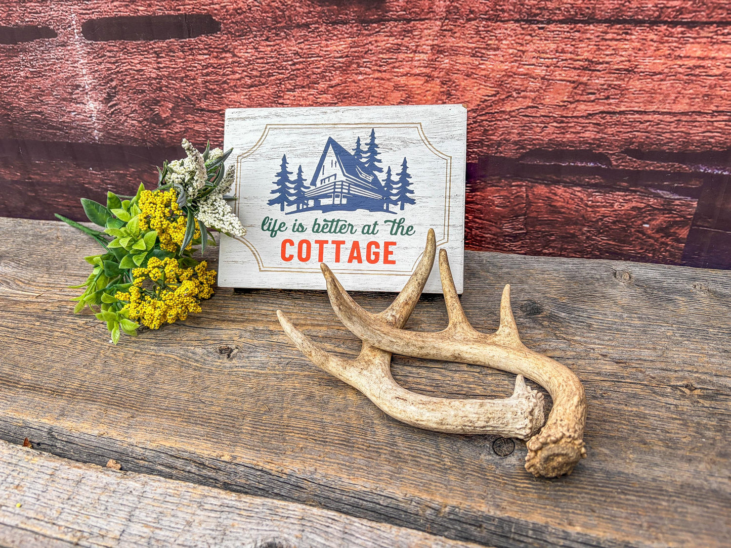 Deer Antlers - White-tailed Deer Matching set. Canadian Buck. Crafting and Decor Antlers