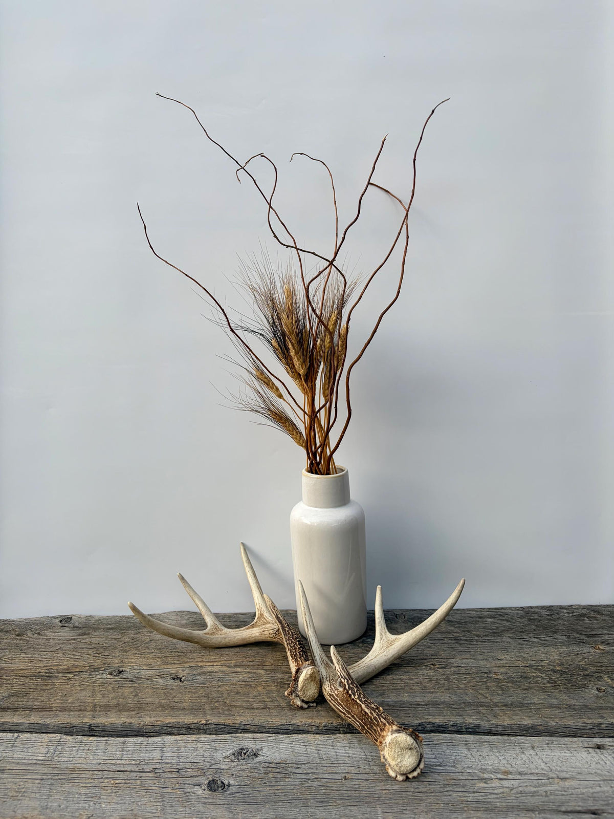 Deer Antlers - White-tailed Deer Matching set. Canadian Buck. Small 8 point set of Crafting and Decor Antlers