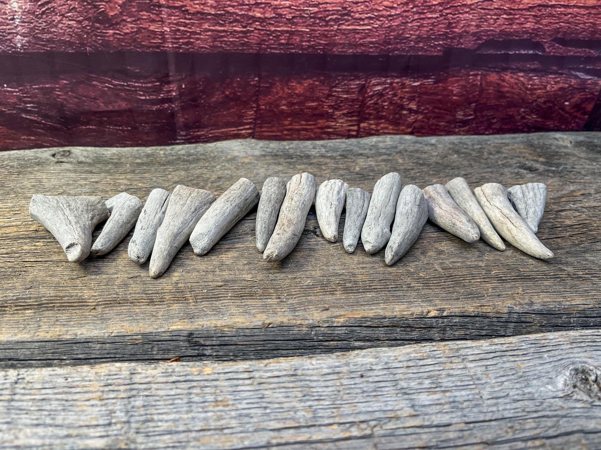 Antler Tips - Pack of 15 Tips / Tines for Crafting, Decor and More