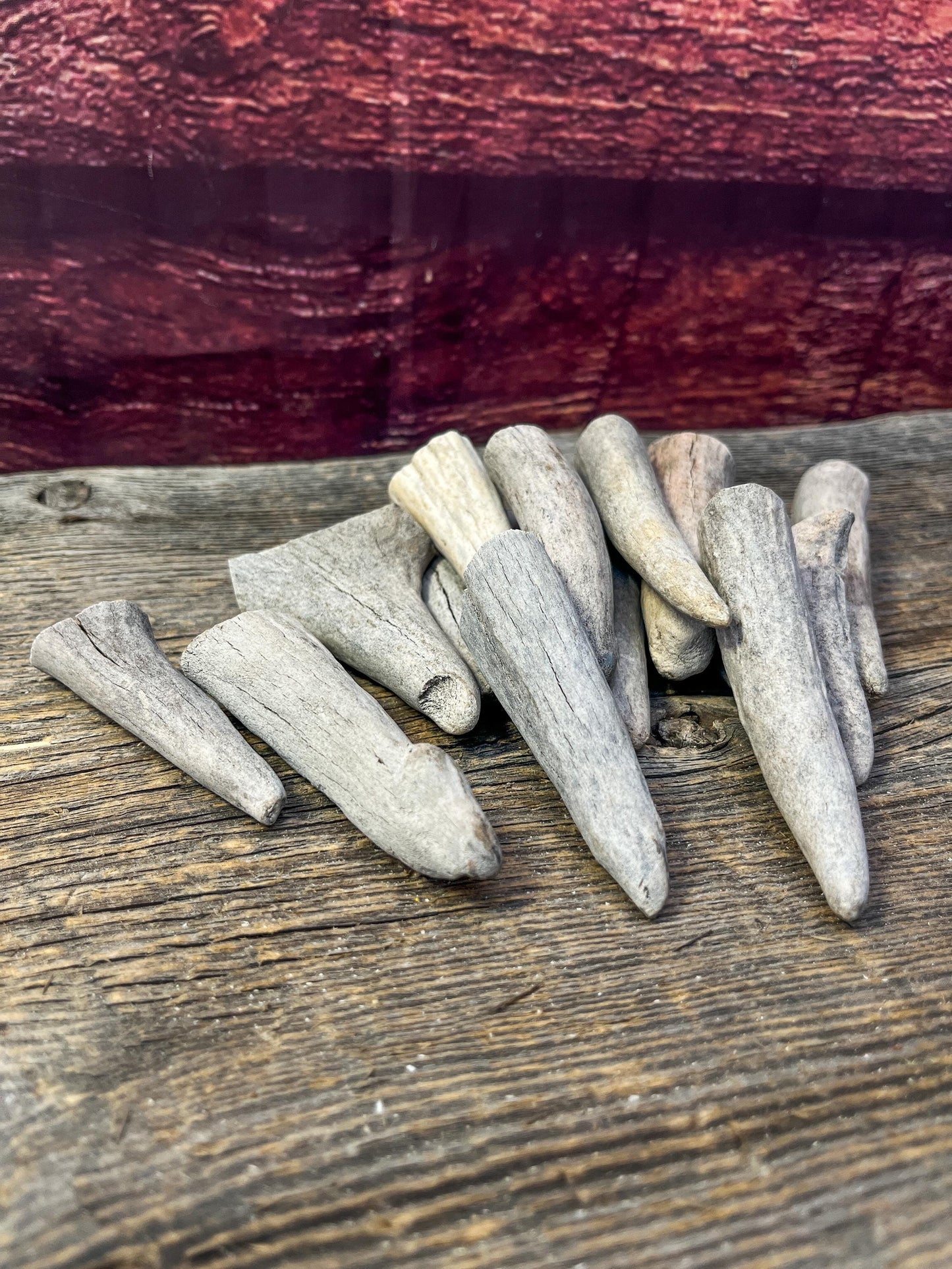 Antler Tips - Pack of 15 Tips / Tines for Crafting, Decor and More