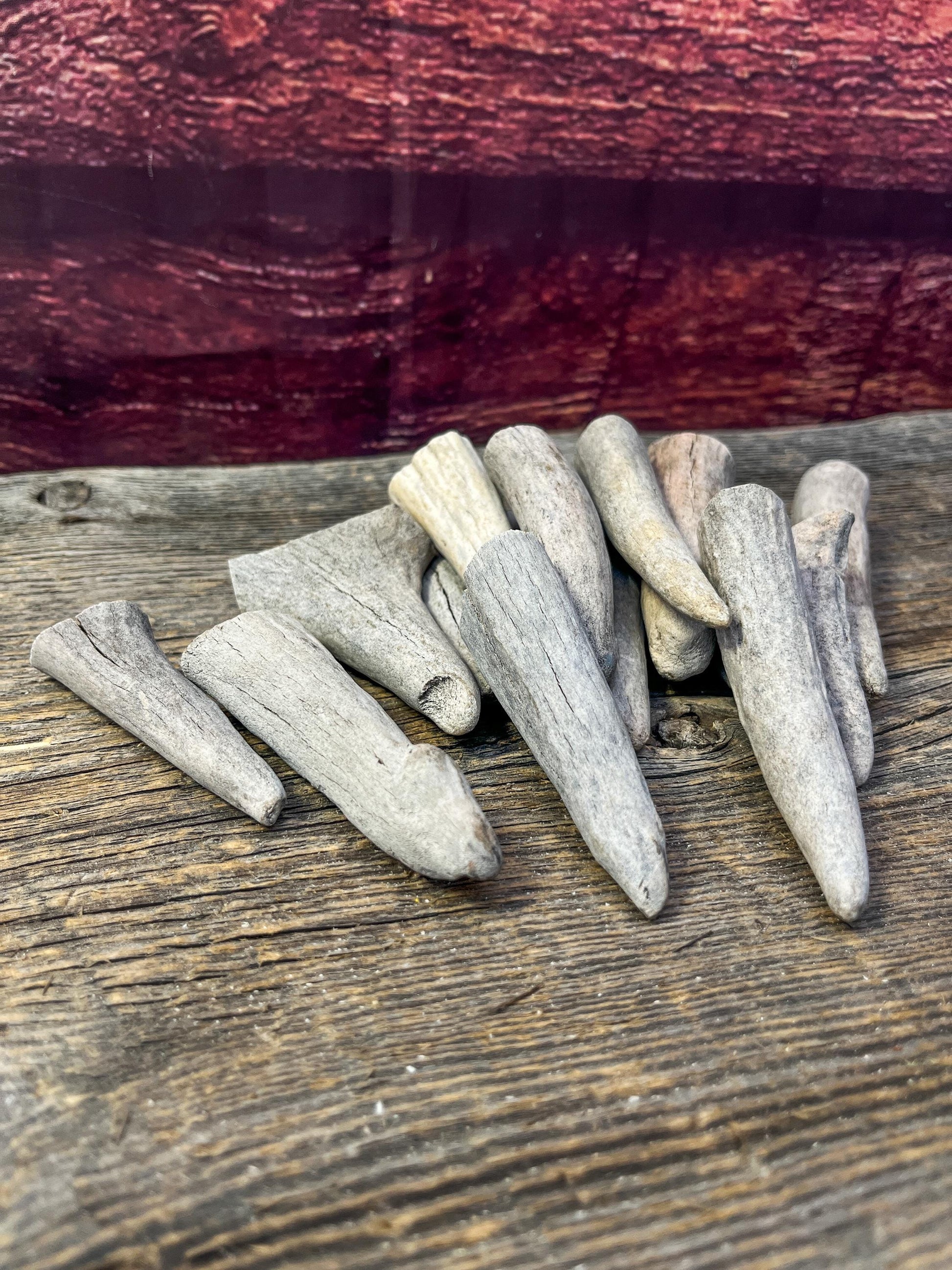 Antler Tips - Pack of 15 Tips / Tines for Crafting, Decor and More