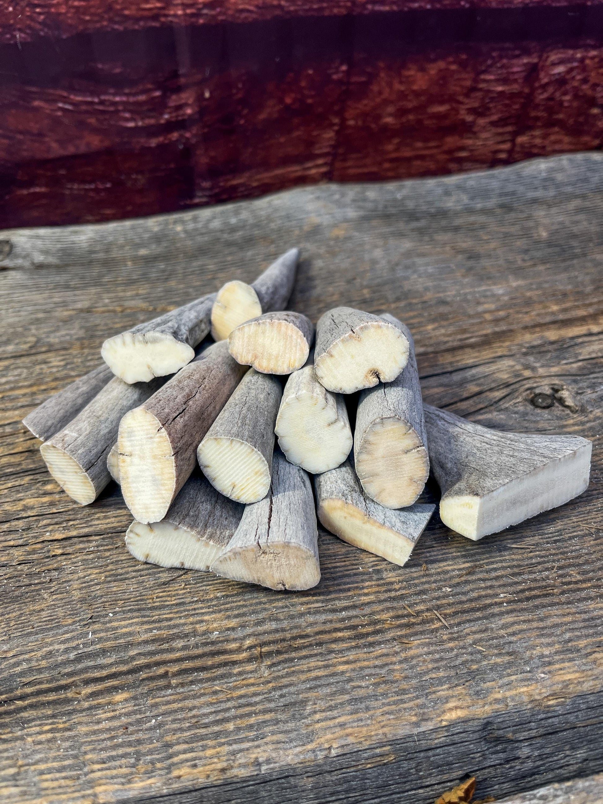 Antler Tips - Pack of 15 Tips / Tines for Crafting, Decor and More