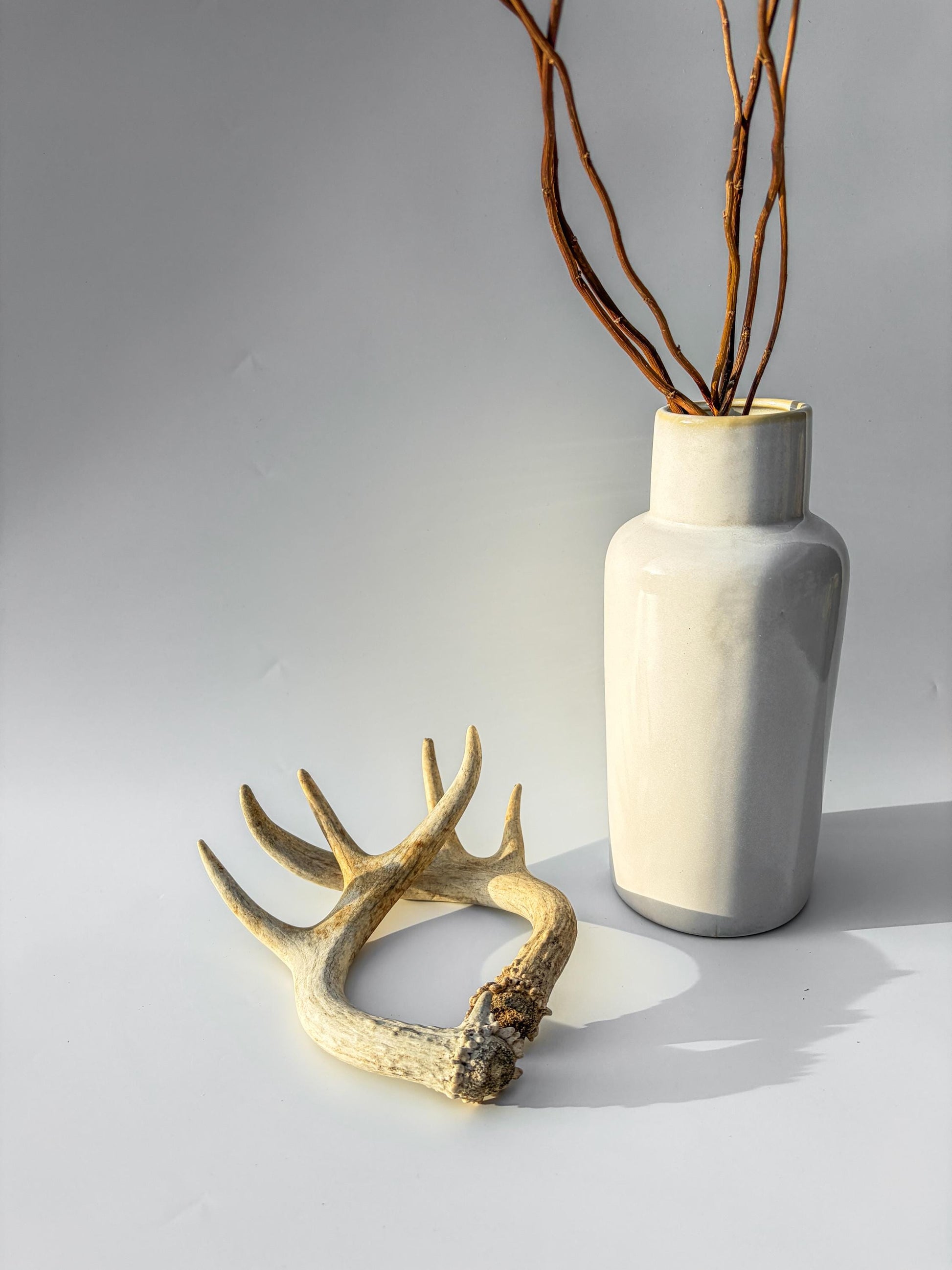 Deer Antlers - White-tailed Deer Matching set. Canadian Buck. Crafting and Decor Antlers