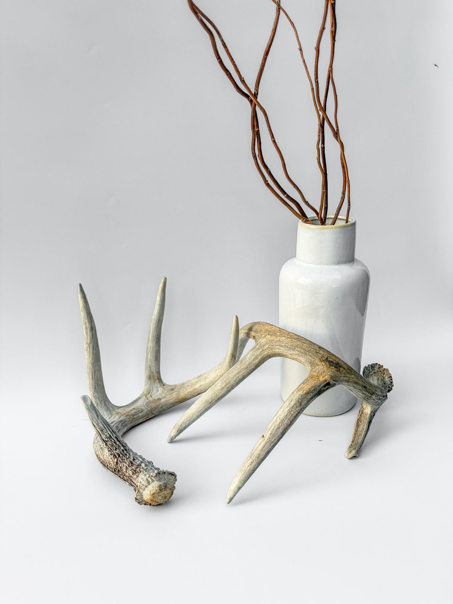 Deer Antlers - Matching Set of White-tailed Deer Antlers. Canadian Buck. Crafting, Decor and More.