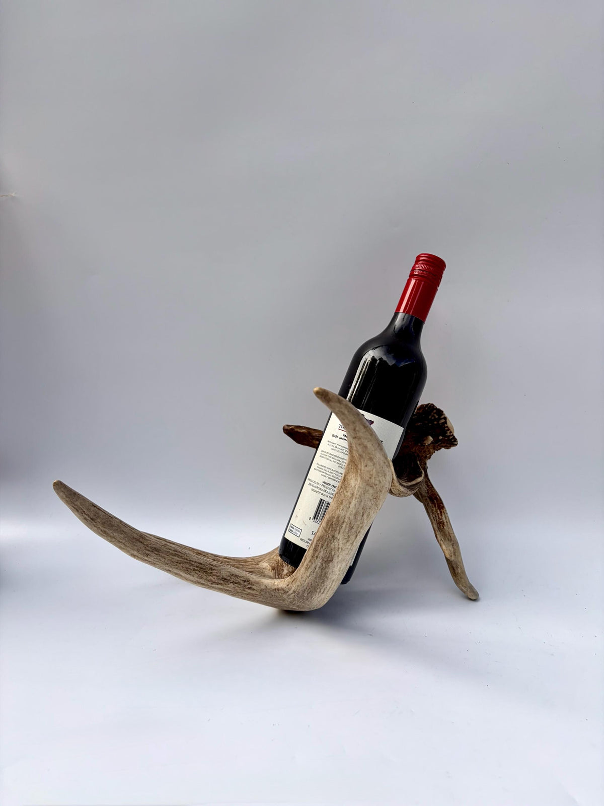 Albertan White-tailed Deer Antlers. Massive and Impressive Matching non-typical Set