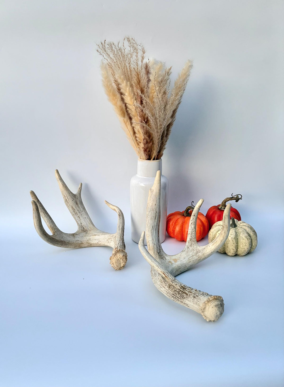 4 Deer Antlers - 2 Matched Sets From the Same Deer. Insane Mass. Super Heavy Whitetailed deer
