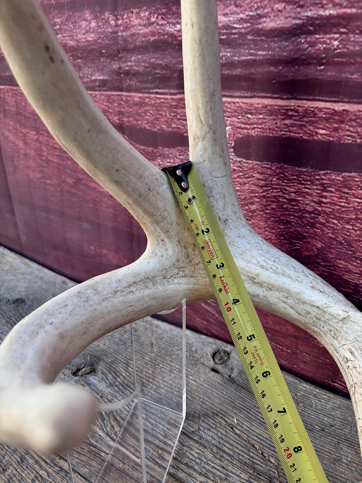4 Deer Antlers - 2 Matched Sets From the Same Deer. Insane Mass. Super Heavy Whitetailed deer