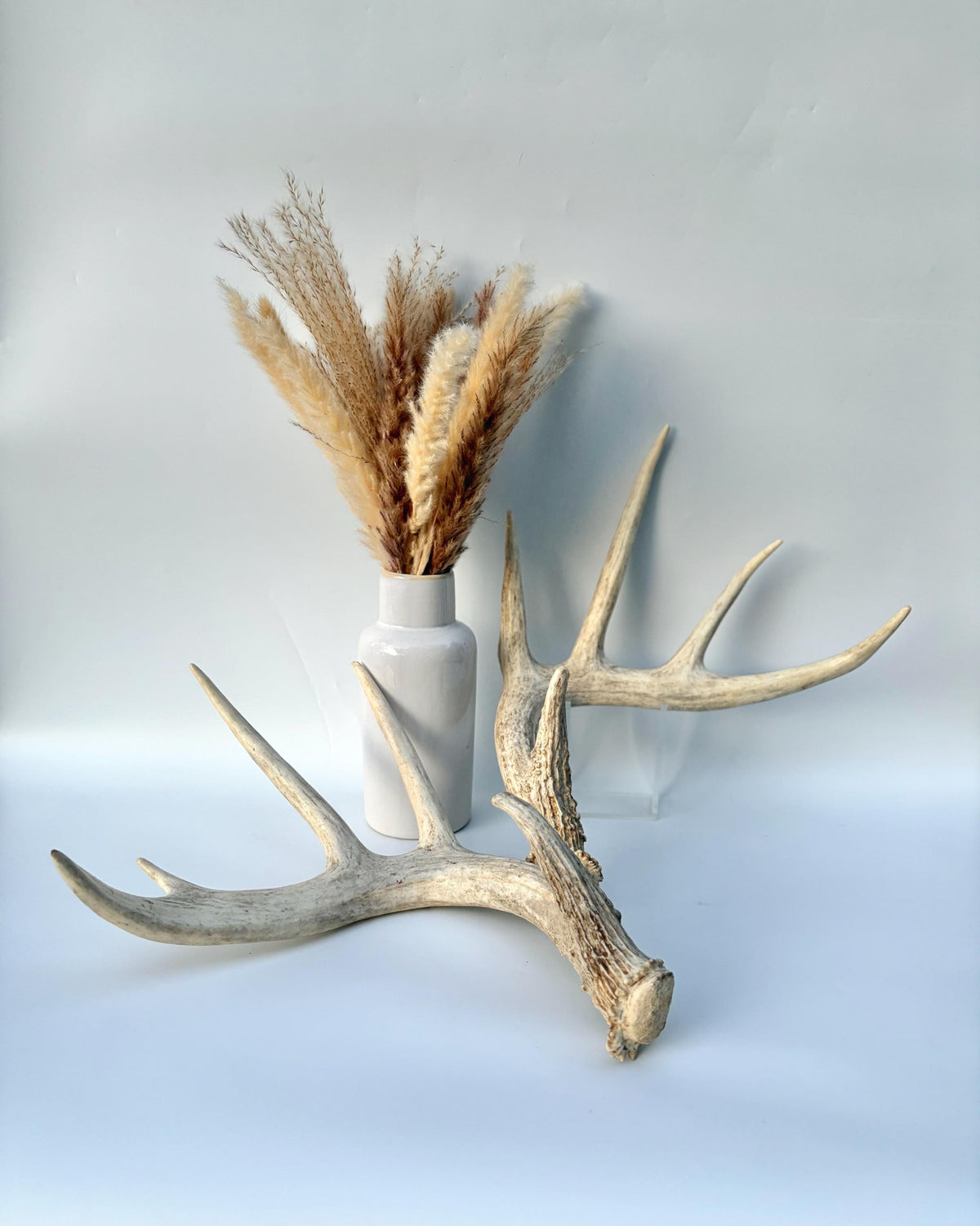 White-tailed Deer Antlers - Enormous Matching Set. Insane Mass! Decor Crafting and More. Perfect Condition