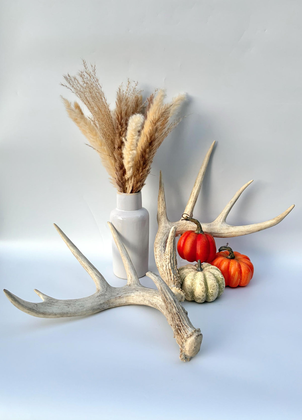 White-tailed Deer Antlers - Enormous Matching Set. Insane Mass! Decor Crafting and More. Perfect Condition