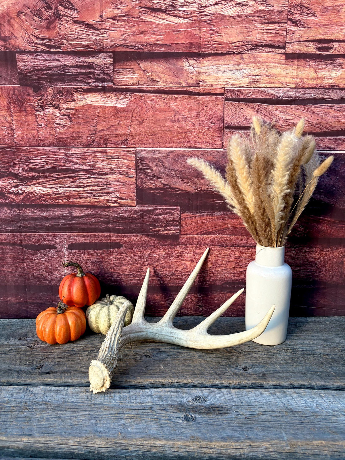 White-tailed Deer Antlers - Enormous Matching Set. Insane Mass! Decor Crafting and More. Perfect Condition