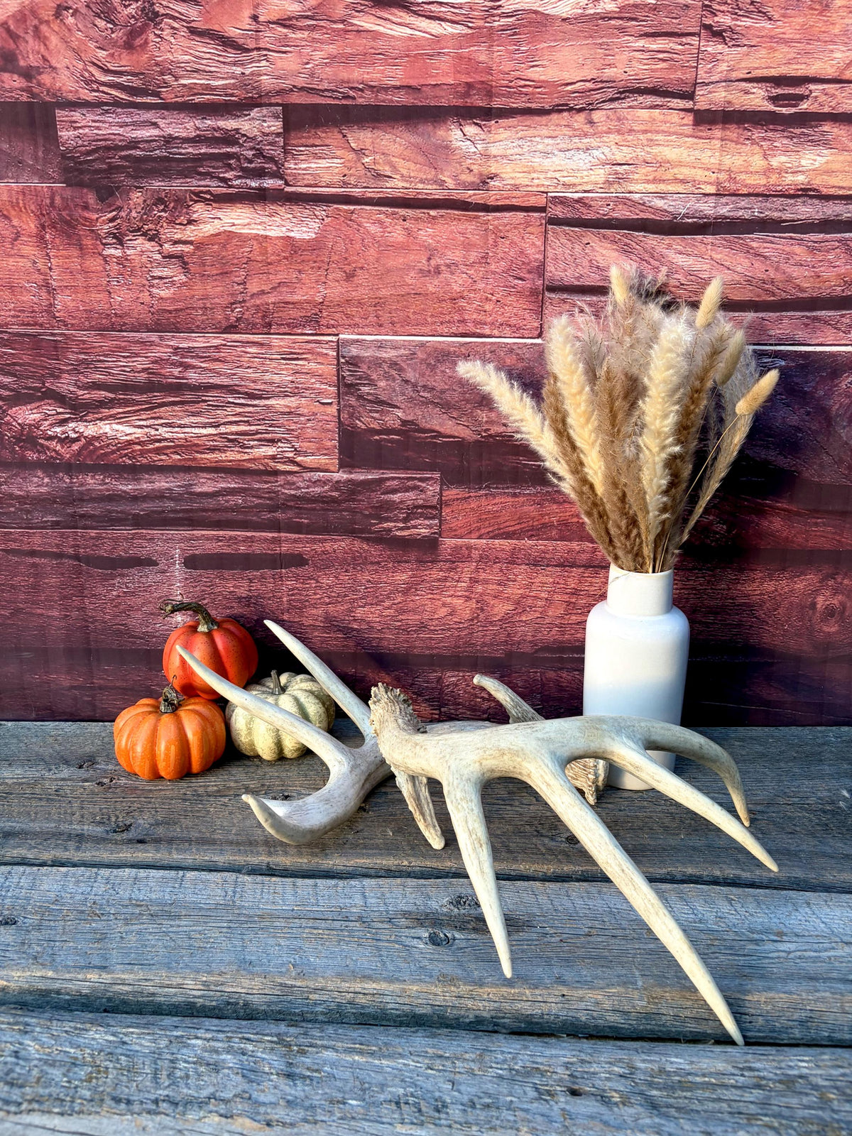 White-tailed Deer Antlers - Enormous Matching Set. Insane Mass! Decor Crafting and More. Perfect Condition