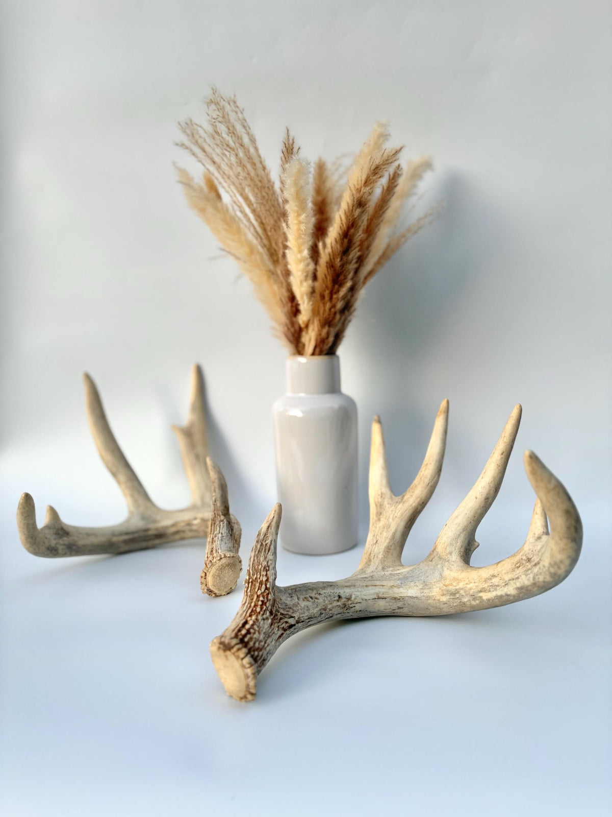 White-tailed Deer Antlers - Enormous Matching Set. Insane Mass! Decor Crafting and More. Perfect Condition