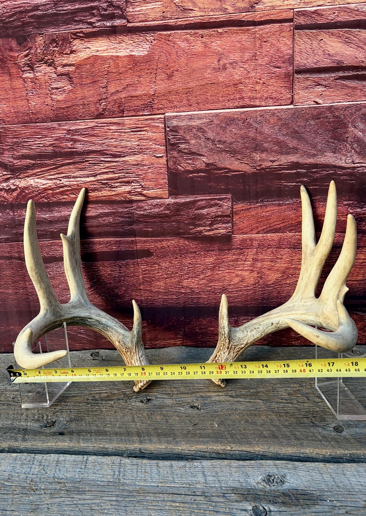 White-tailed Deer Antlers - Enormous Matching Set. Insane Mass! Decor Crafting and More. Perfect Condition