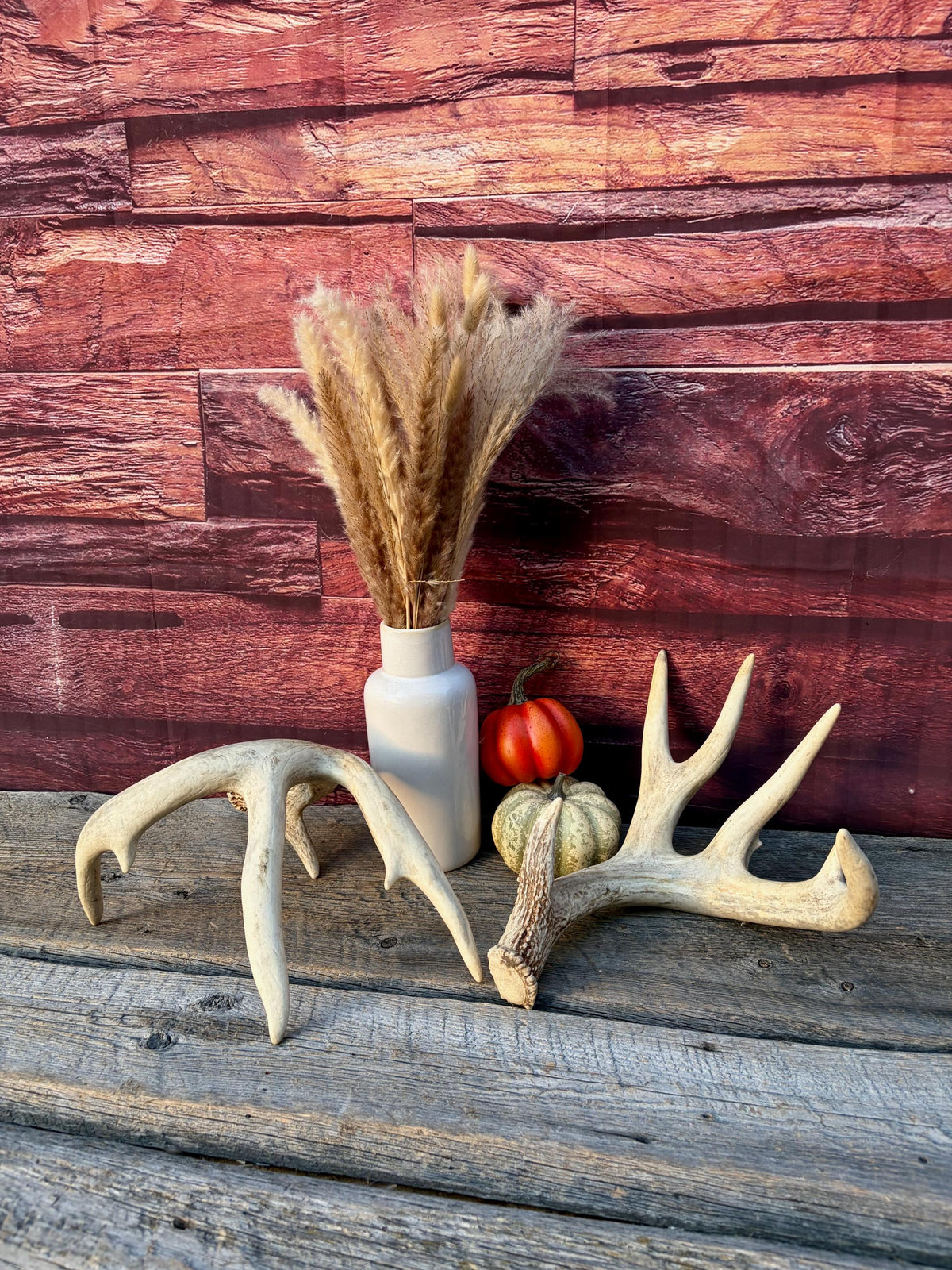 White-tailed Deer Antlers - Enormous Matching Set. Insane Mass! Decor Crafting and More. Perfect Condition
