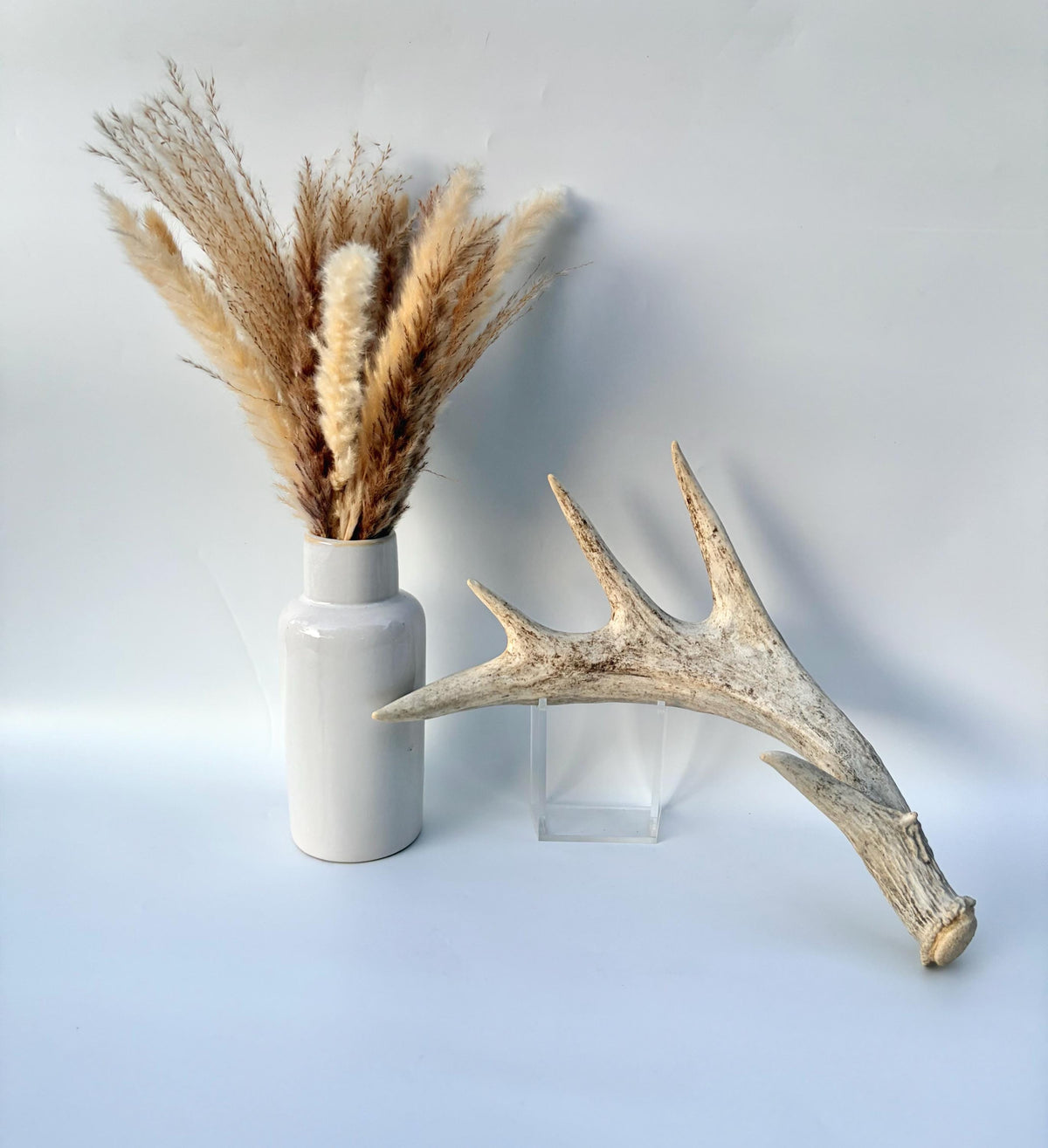 White-tailed Deer Antlers - Enormous Matching Set. Insane Mass! Decor Crafting and More.