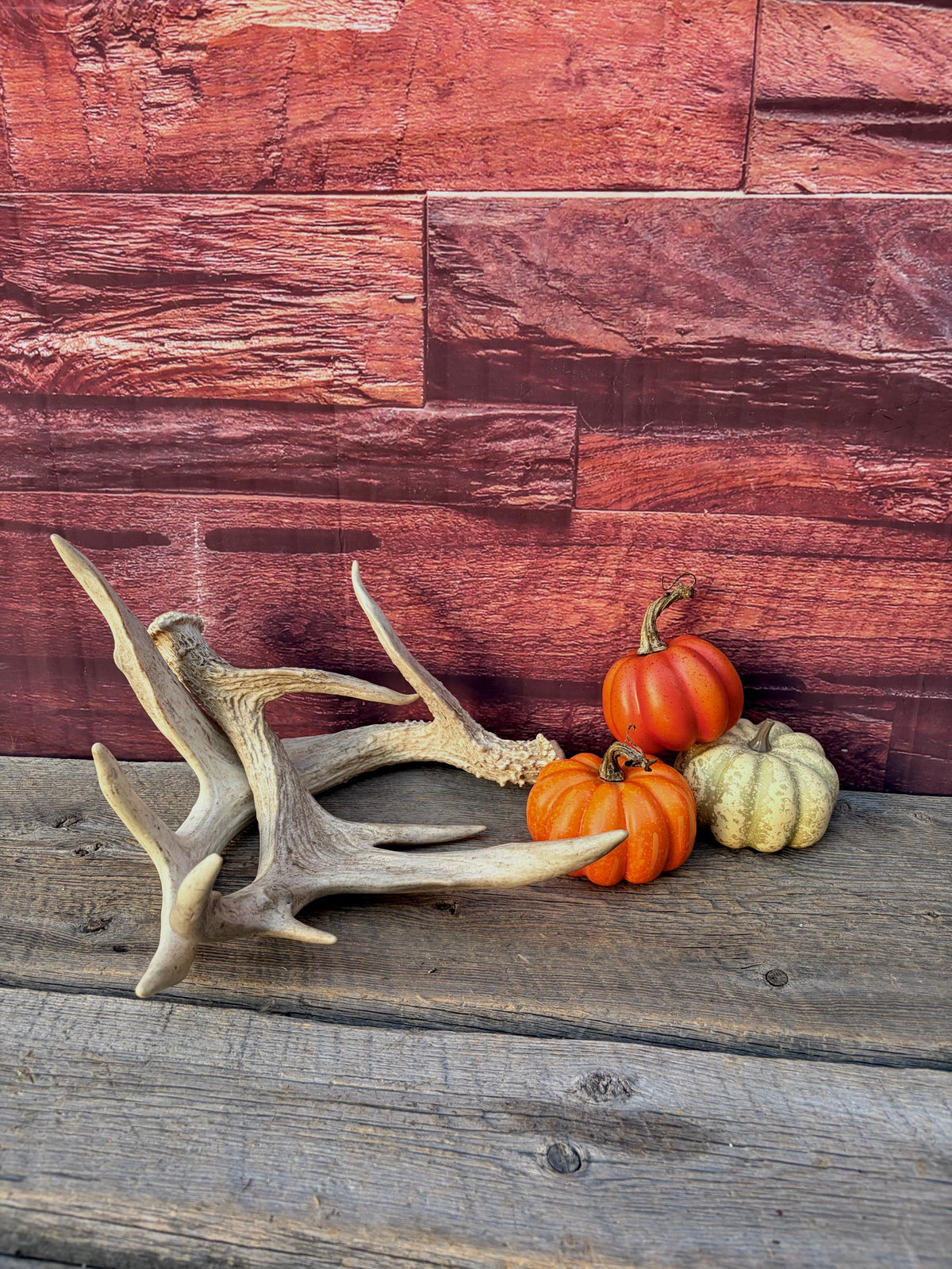 White-tailed Deer Antlers - Enormous Matching Set. Insane Mass! Decor Crafting and More.