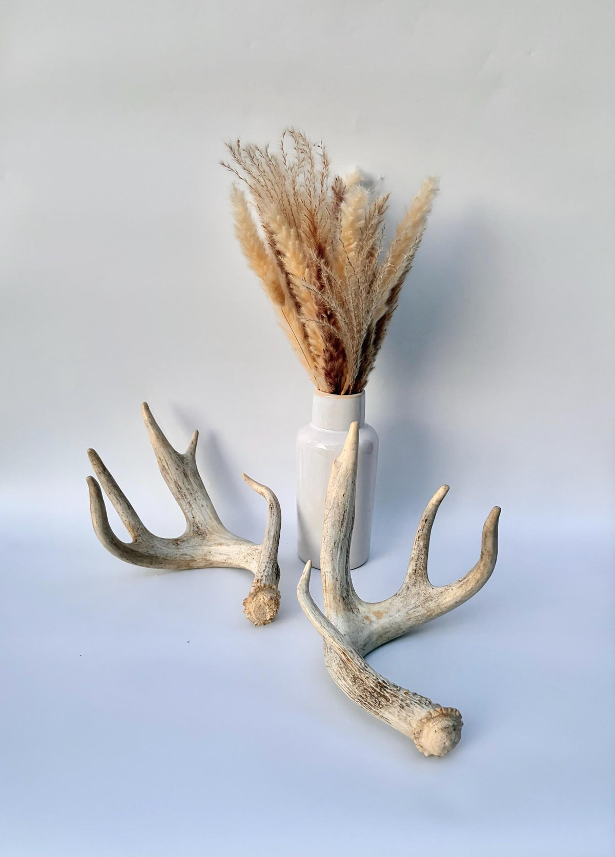 4 Deer Antlers - 2 Matched Sets From the Same Deer. Insane Mass. Super Heavy Whitetailed deer