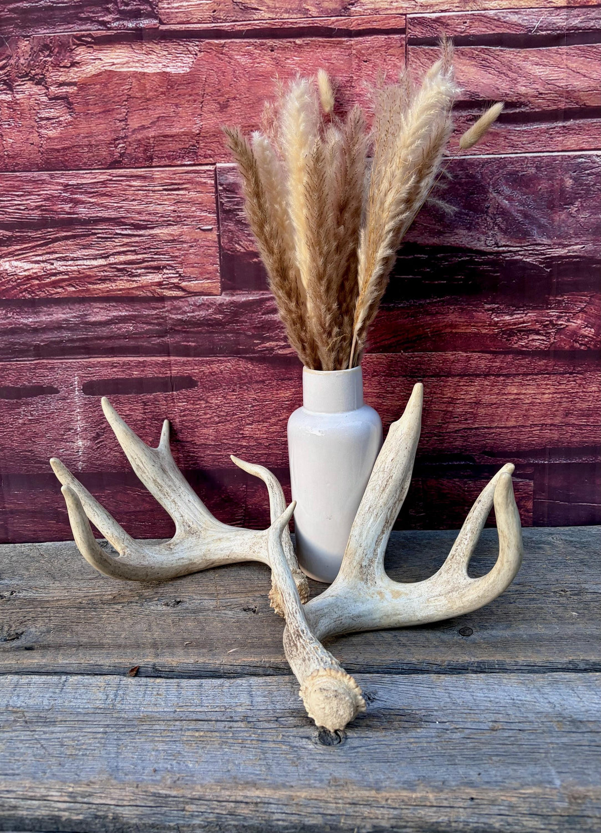 4 Deer Antlers - 2 Matched Sets From the Same Deer. Insane Mass. Super Heavy Whitetailed deer