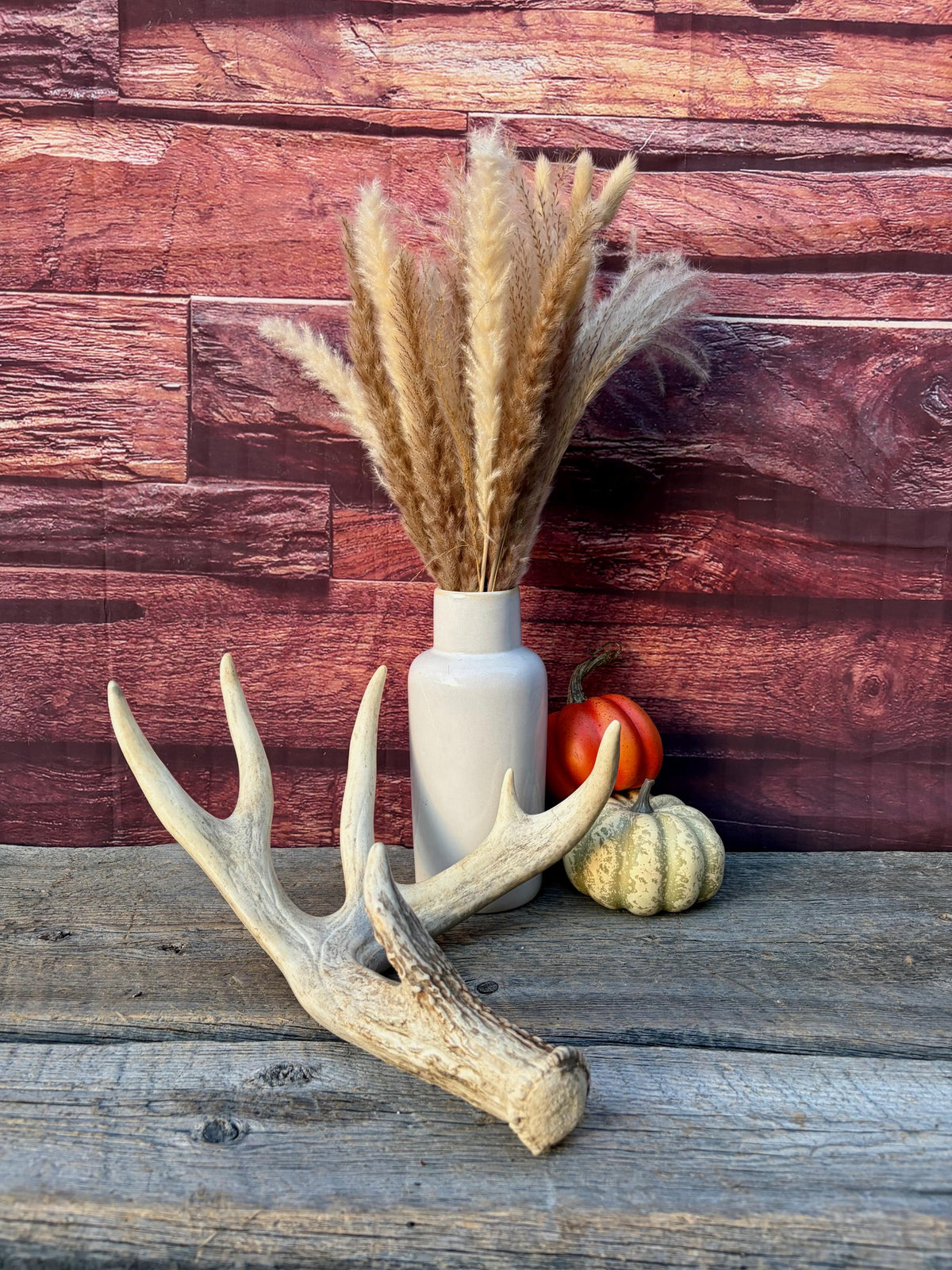White-tailed Deer Antlers - Enormous Matching Set. Insane Mass! Decor Crafting and More. Perfect Condition