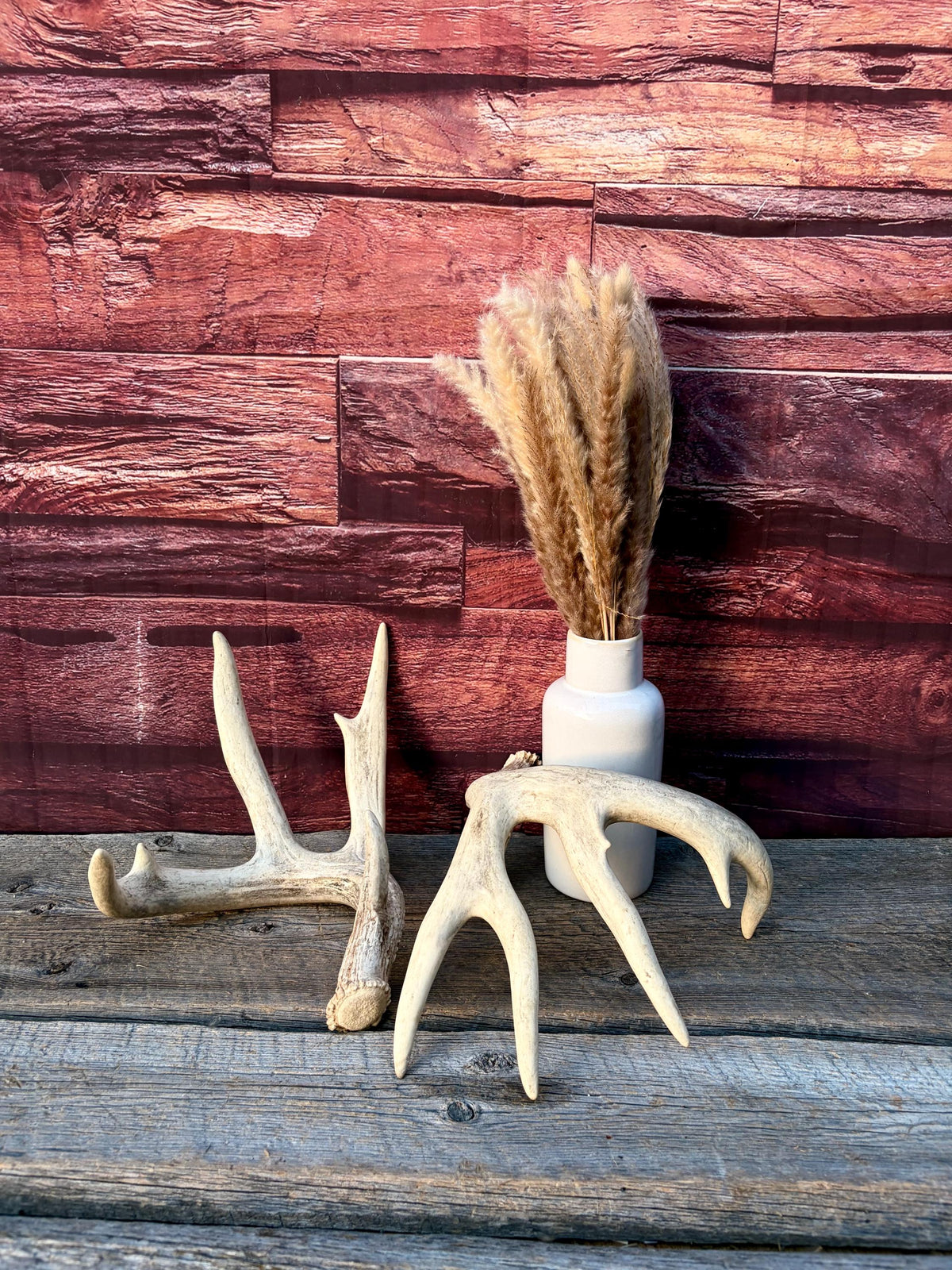 White-tailed Deer Antlers - Enormous Matching Set. Insane Mass! Decor Crafting and More. Perfect Condition