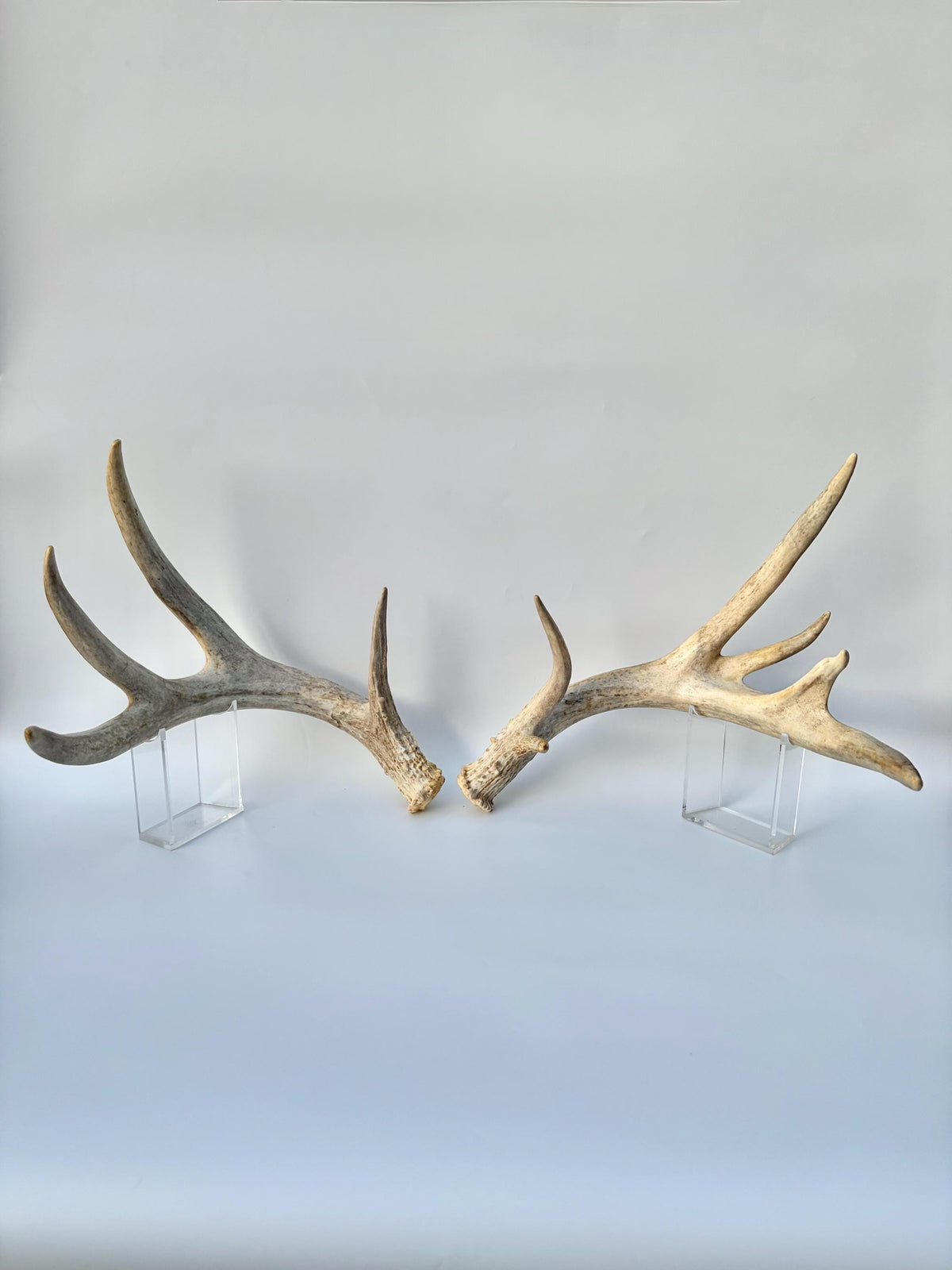 4 Deer Antlers - 2 Matched Sets From the Same Deer. Huge Whitetailed deer