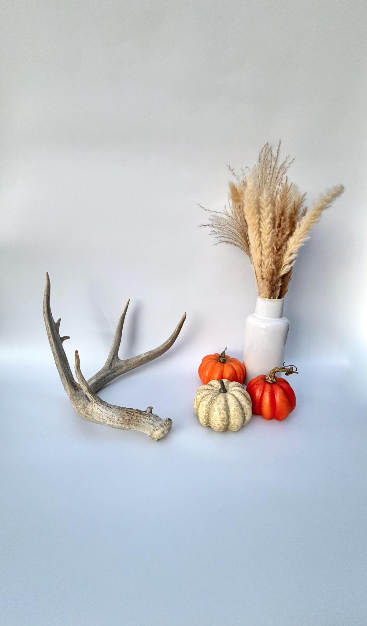 4 Deer Antlers - 2 Matched Sets From the Same Deer. Huge Whitetailed deer