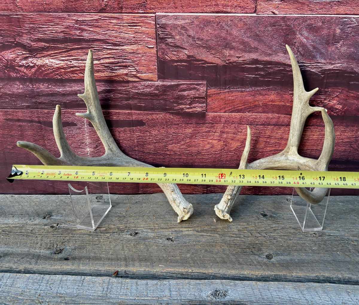 4 Deer Antlers - 2 Matched Sets From the Same Deer. Huge Whitetailed deer