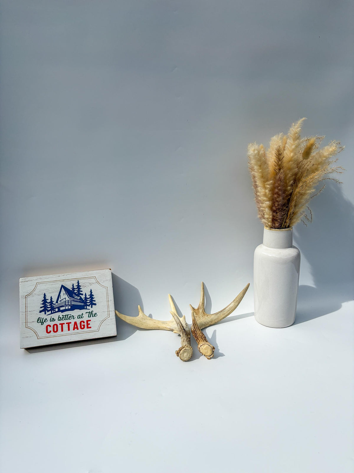 Deer Antlers - Medium Sized White-tailed Deer Matching set. Canadian Buck. Crafting and Decor Antlers