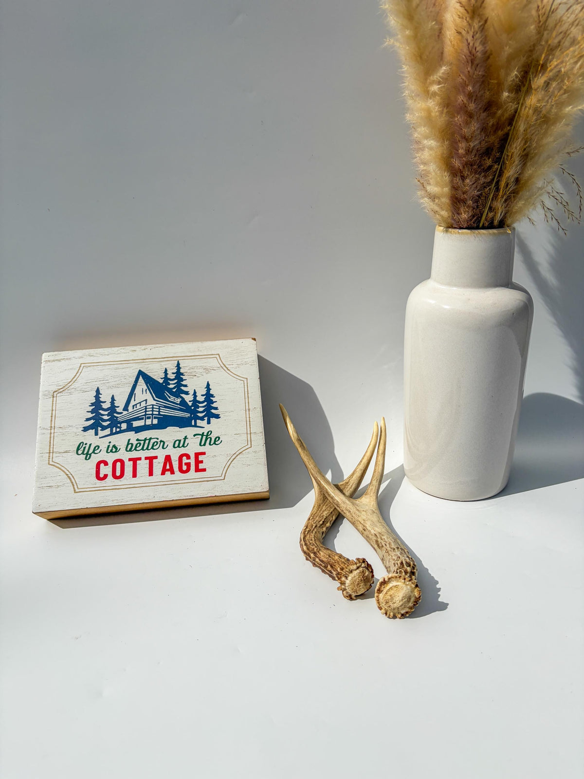 Mule Deer Antlers. Matching Brown Set. Decor, design, crafting and more!