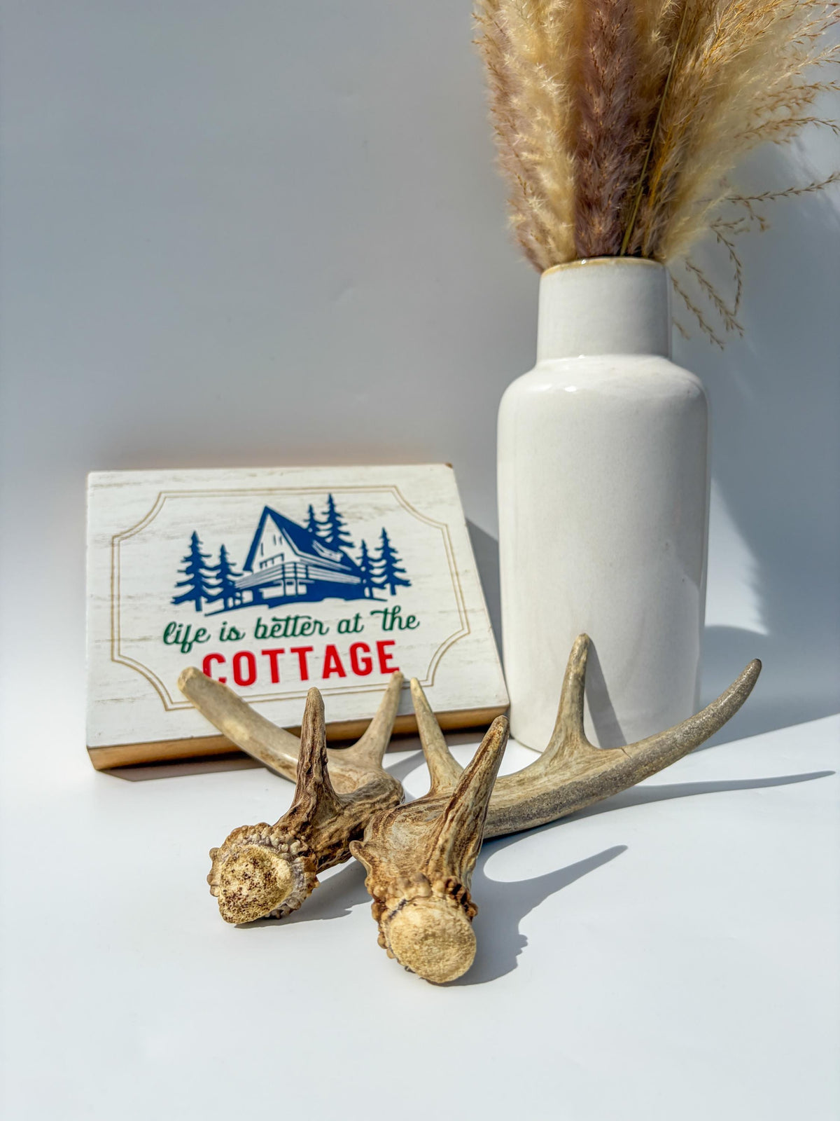 Deer Antlers - Medium Sized White-tailed Deer Matching set. Canadian Buck. Crafting and Decor Antlers