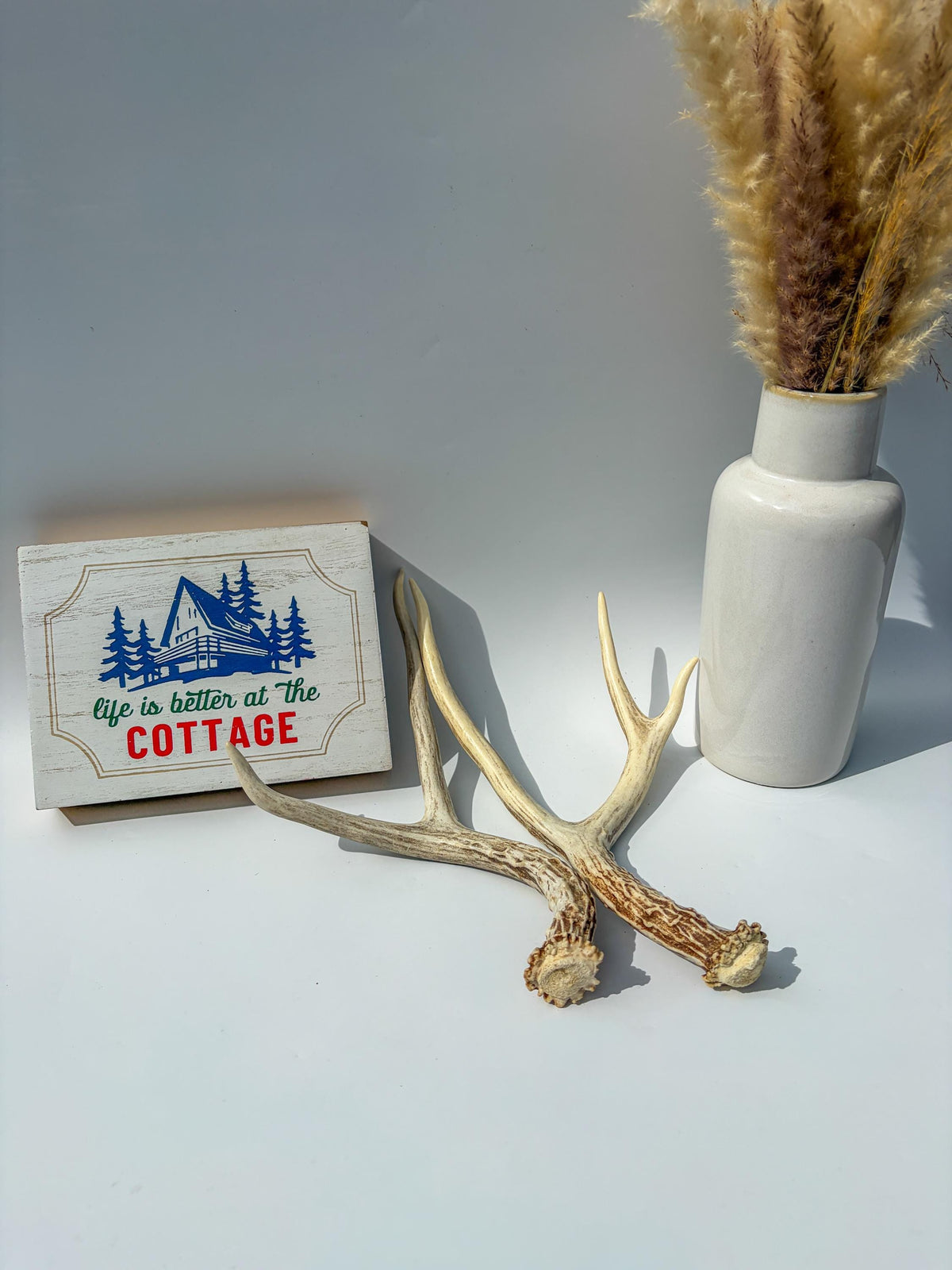 Deer Antlers - Medium sized Mule Deer Matching set. Canadian Buck. Crafting and Decor Antlers
