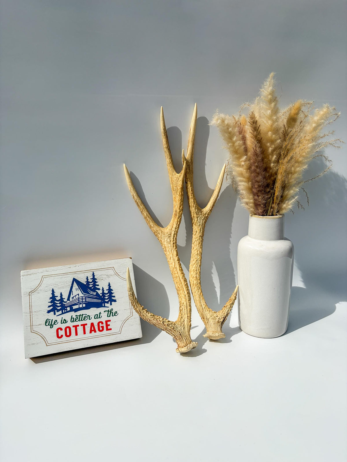 Axis Deer Matched Set. Premium High Density Naturally-Shed Antlers for Crafting Decor and More