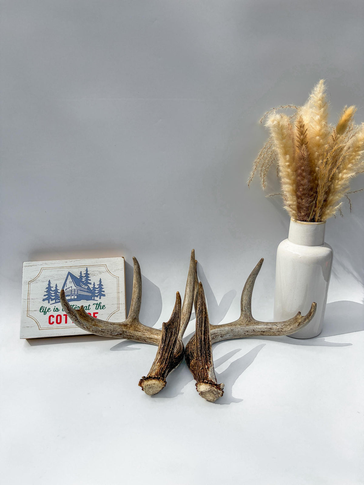 Deer Antlers - Matching White-tailed Deer Antler Set. Antlers for Interior Design, Crafting, and More.