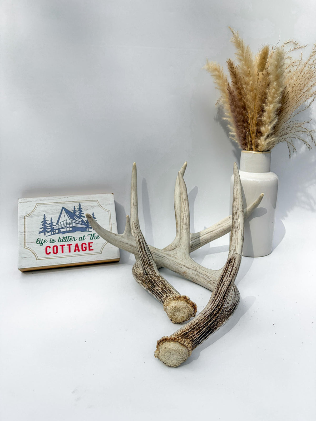 Matching Set of White-tailed Deer Antlers for Interior Decor and Design.