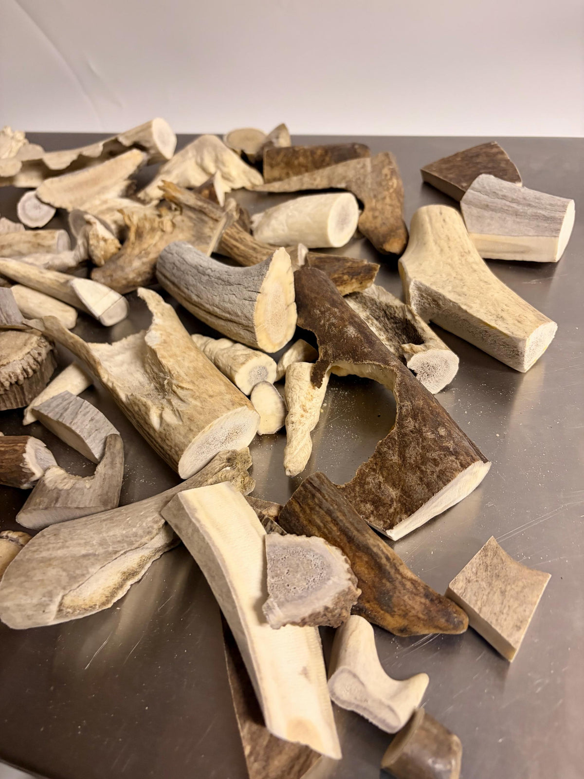 Deer, Moose and Elk Antler Chunks and Trimmings, small chunks and Trimmings and Tips. Useable for Crafting, Decor and More!
