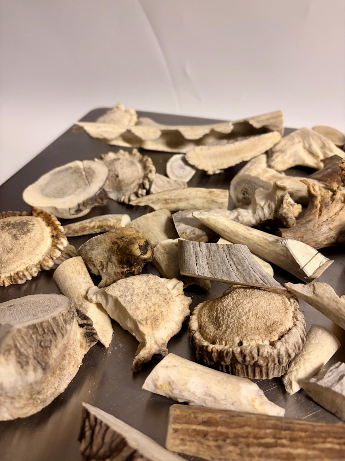 Deer, Moose and Elk Antler Chunks and Trimmings, small chunks and Trimmings and Tips. Useable for Crafting, Decor and More!