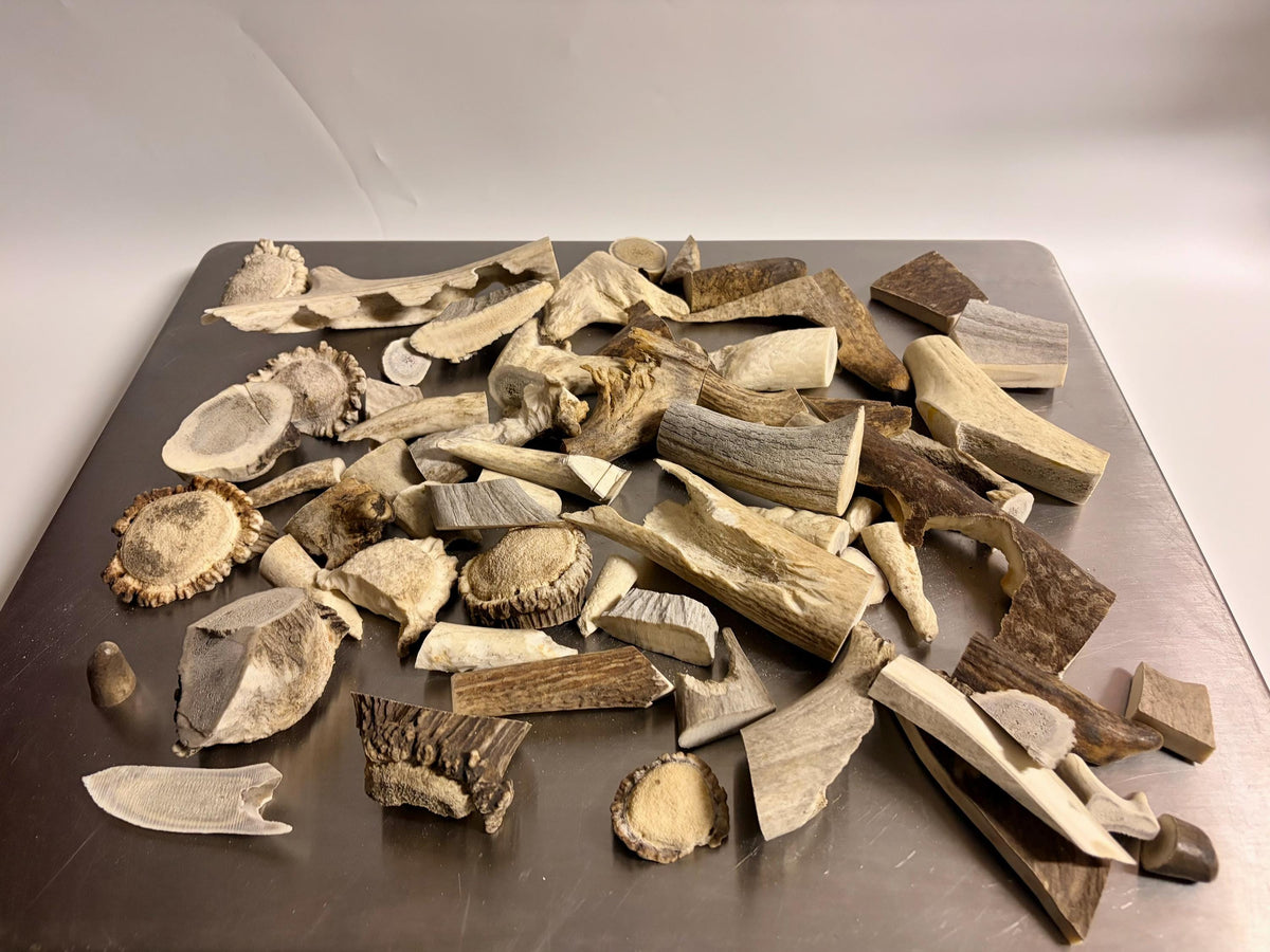 Deer, Moose and Elk Antler Chunks and Trimmings, small chunks and Trimmings and Tips. Useable for Crafting, Decor and More!