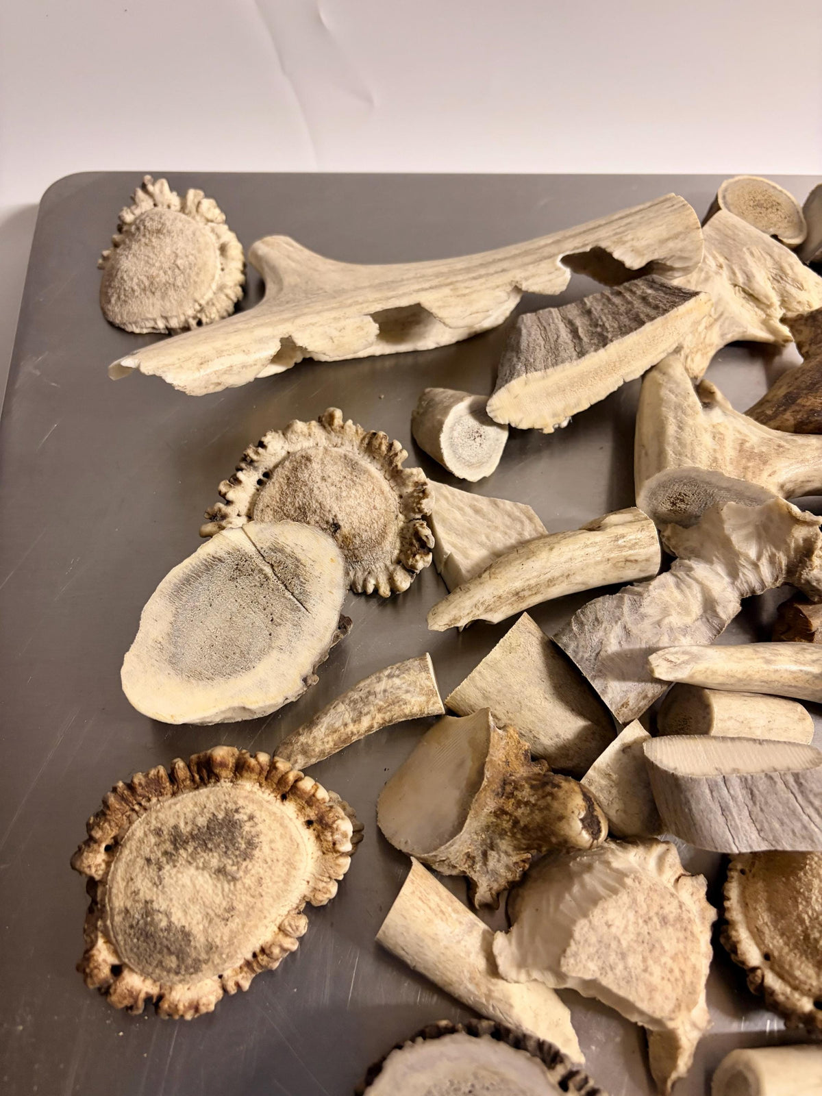 Deer, Moose and Elk Antler Chunks and Trimmings, small chunks and Trimmings and Tips. Useable for Crafting, Decor and More!