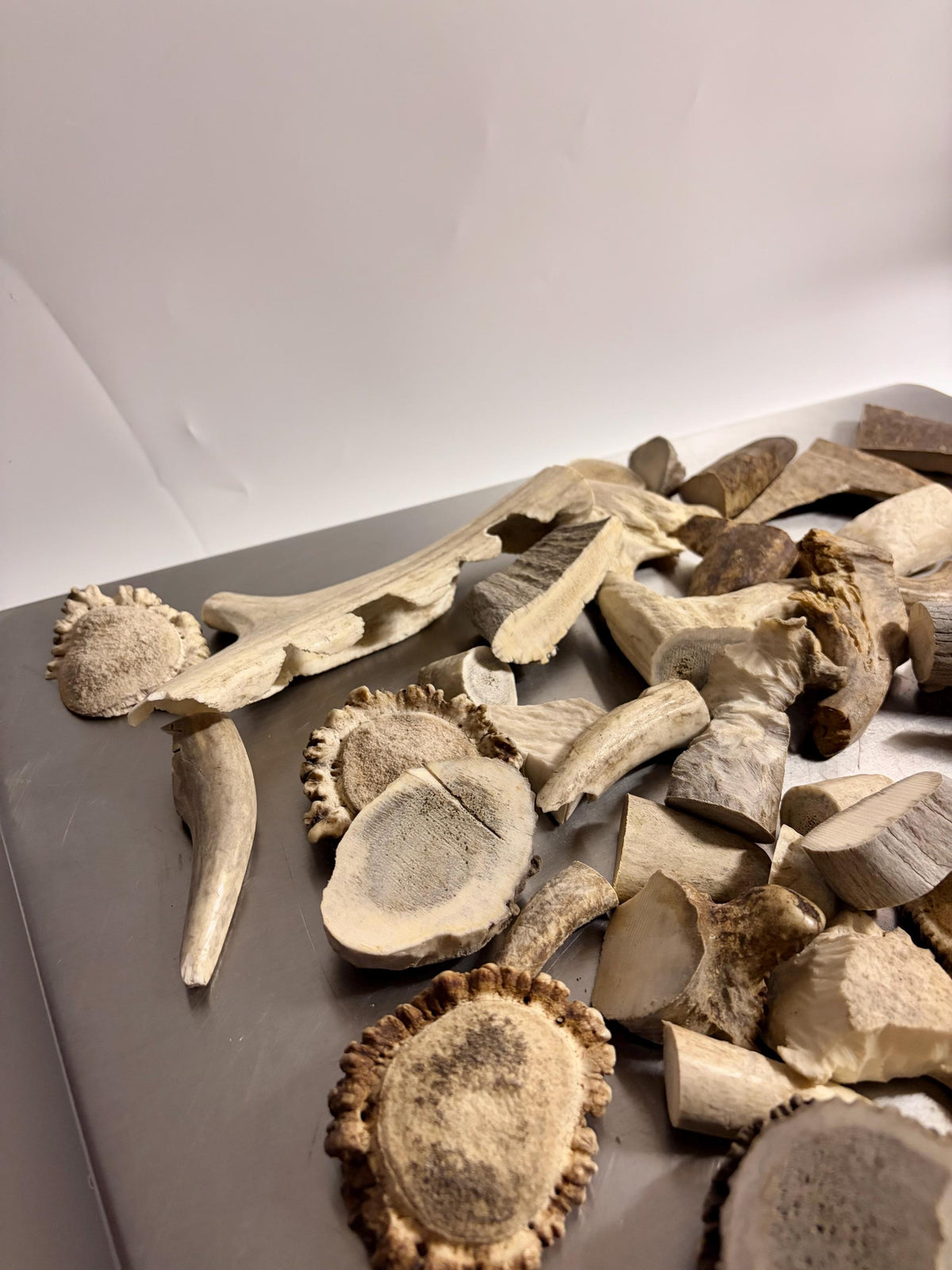 Deer, Moose and Elk Antler Chunks and Trimmings, small chunks and Trimmings and Tips. Useable for Crafting, Decor and More!