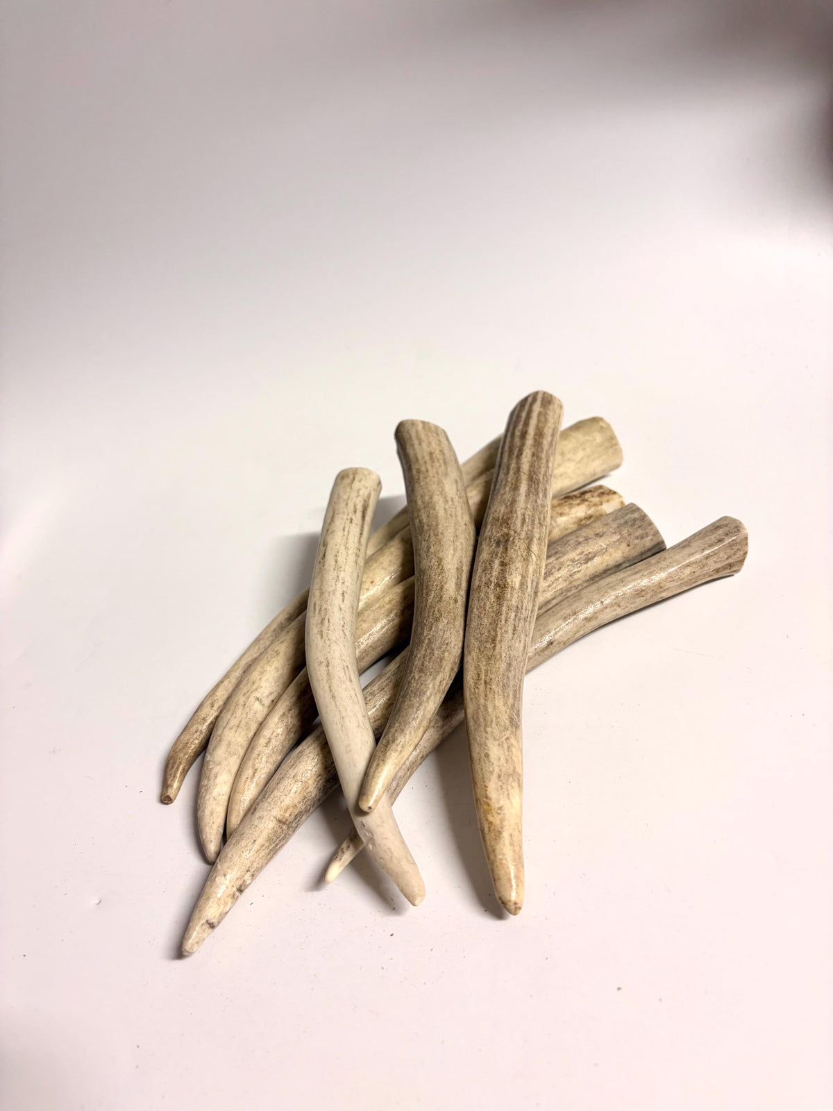Antler Tips - 1.2lbs (8pcs) Premium Antler tips for Crafting decor and more.