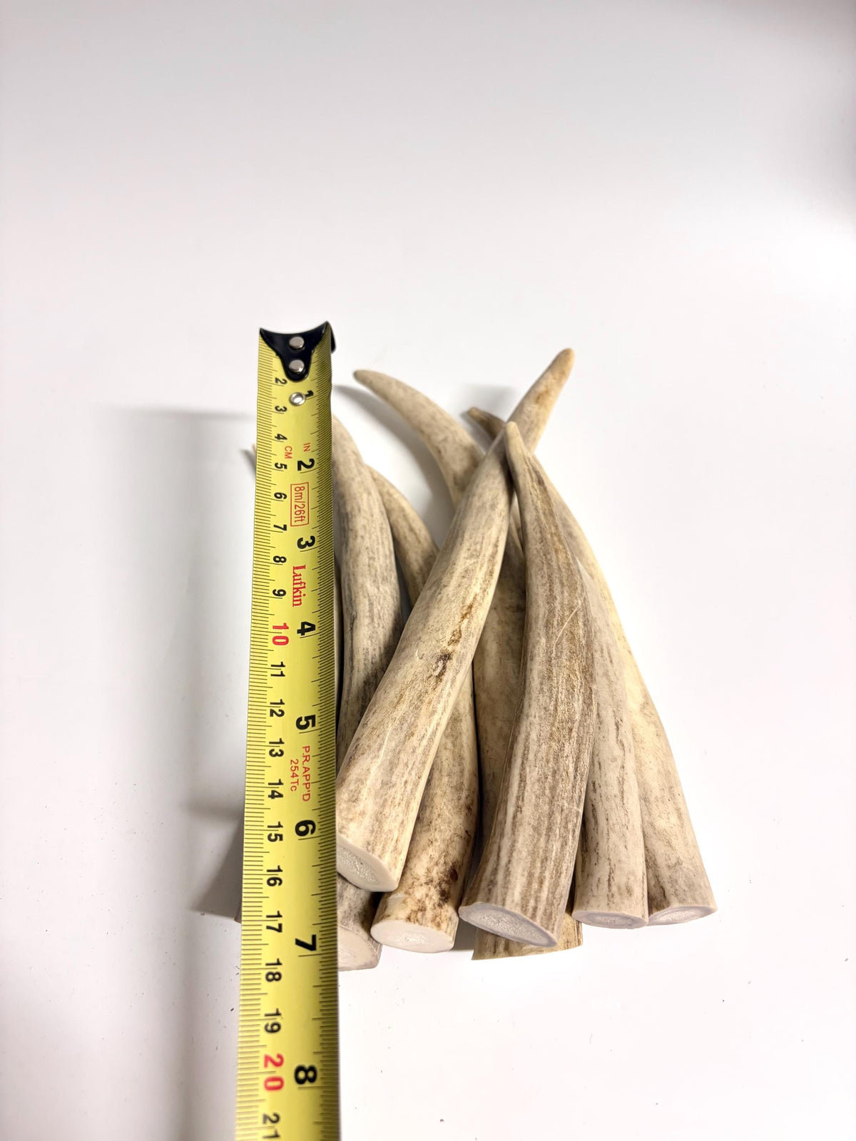 Antler Tips - 1.2lbs (8pcs) Premium Antler tips for Crafting decor and more.