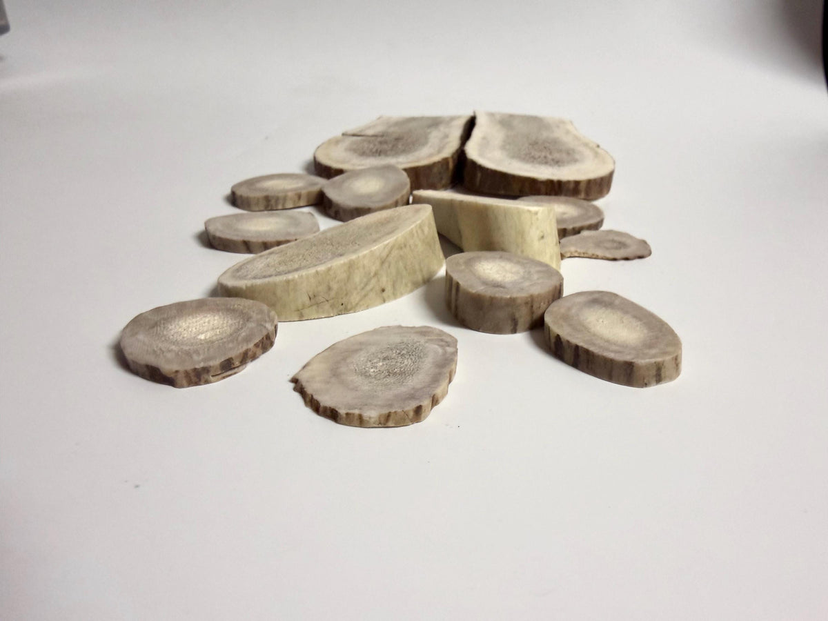Package of Elk Antler Scraps/slices. For Crafting, Decor and More!